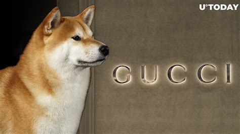 gucci shiba